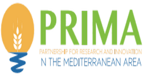 Logo PRIMA header