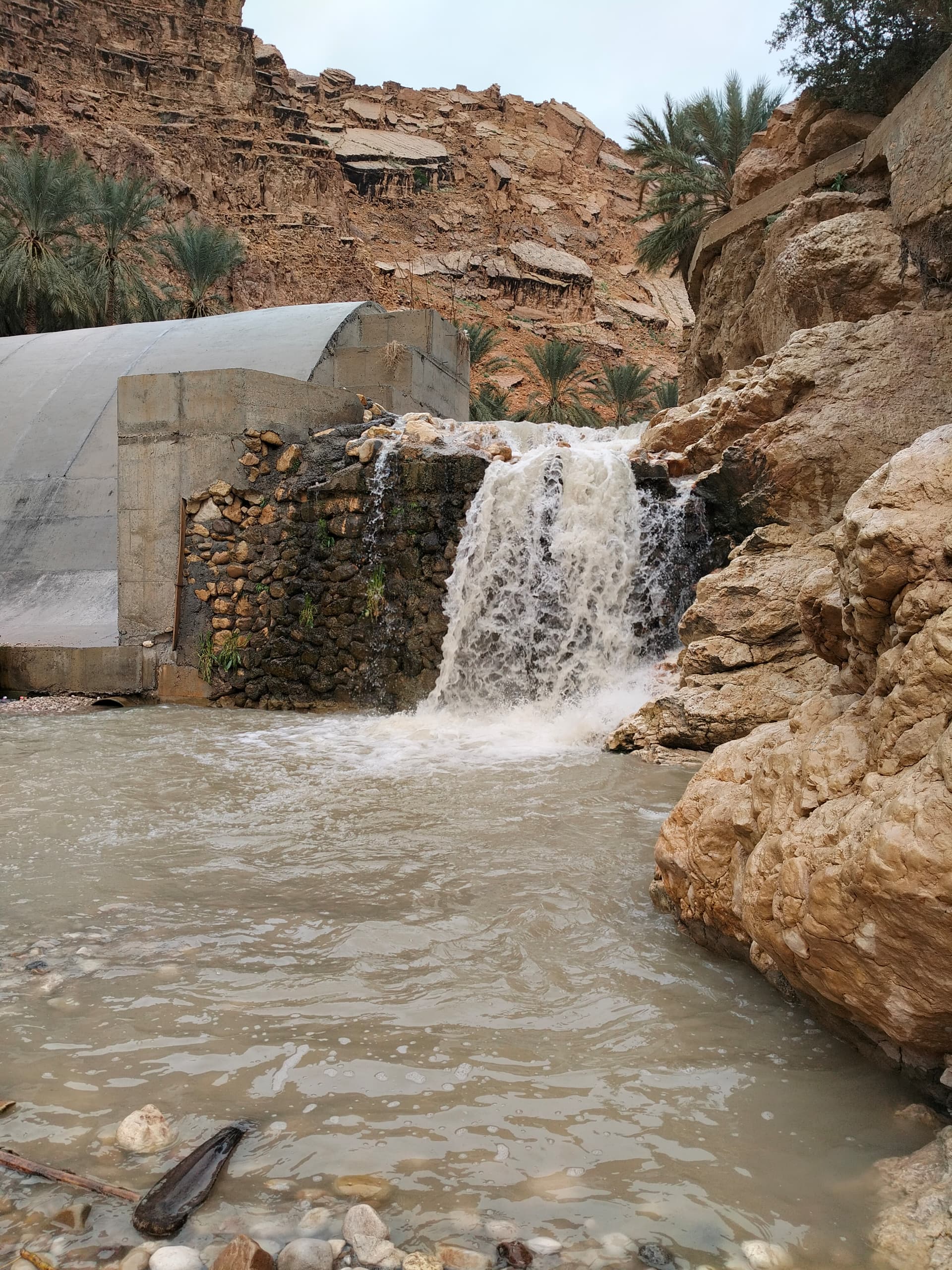 Un voyage à M'Chounech